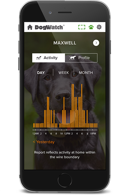 Ottawa DogWatch, Kemptville, Ontario | SmartFence WebApp Image