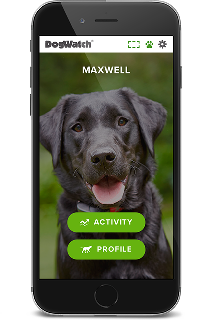 Ottawa DogWatch, Kemptville, Ontario | SmartFence WebApp Image