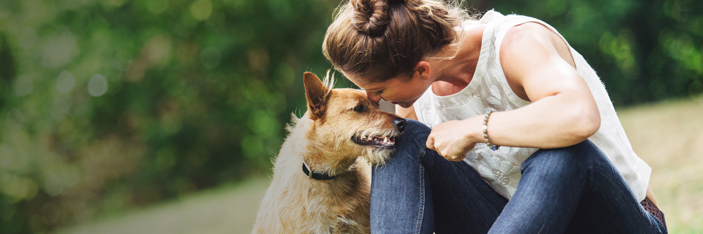 Ottawa DogWatch, Kemptville, Ontario | BarkCollar No-Bark Trainer Slider Image